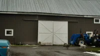 3 сезон 4 серия — Avian Flu